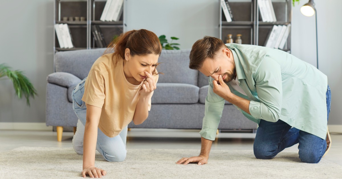 A man and a woman kneel on the carpeted floor in front of a gray couch. They are holding their noses.