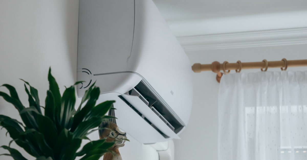A white ductless air conditioning unit hangs on a white wall next to a potted plant with green leaves.