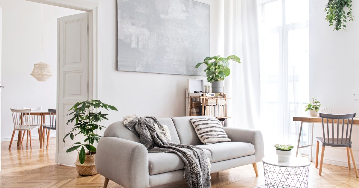 A cozy living room features a gray couch, several potted plants, and a simple wooden desk accompanied by a gray chair.