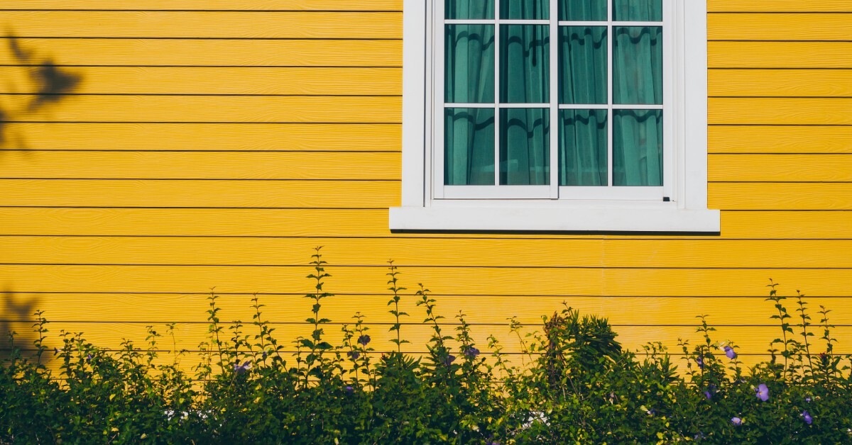 A row of shrubs with purple flowers sit in front of a yellow house with a window that's surrounded by white trim.